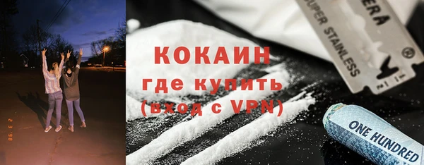 дмт Лабытнанги