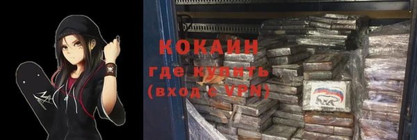 дмт Лабытнанги