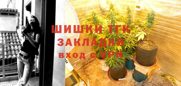 дмт Лабытнанги