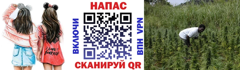 Каннабис индика  Купить закладки  Камышлов 